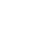 Icon Flip-Flops