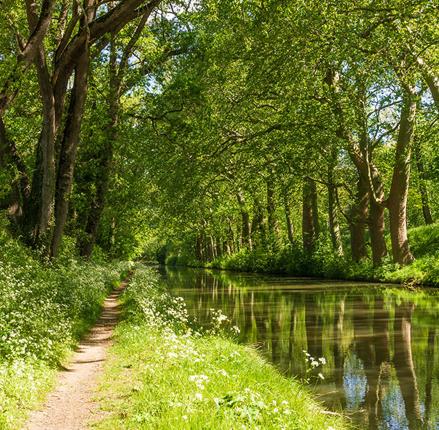 The Canal du Midi, not to be missed during your stay at La Gabinelle campsite between Béziers and Sérignan